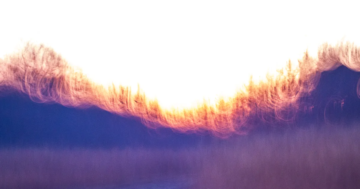 Vibe writing, and looking ahead to 2026