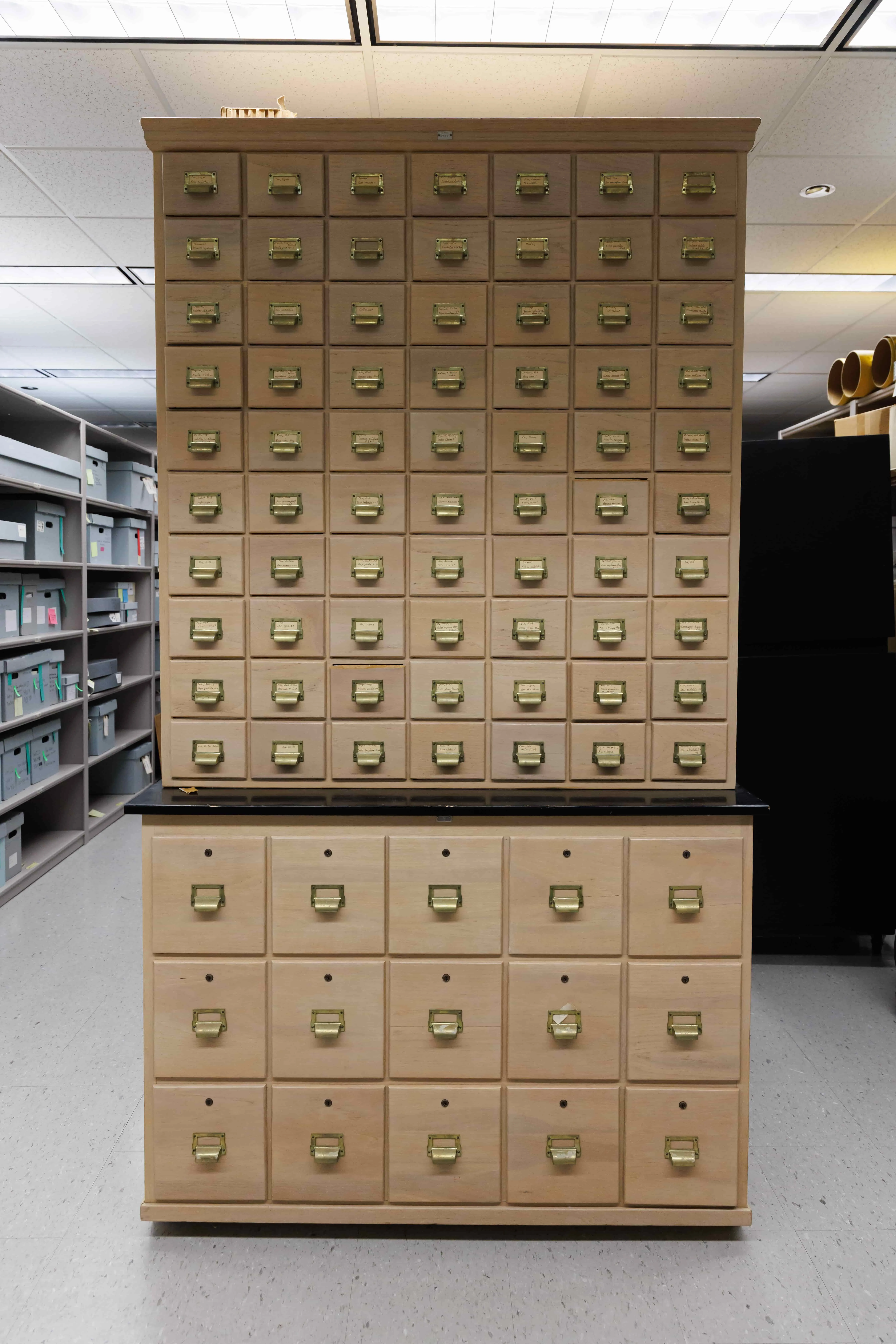 A card catalog containing the Fibrary.