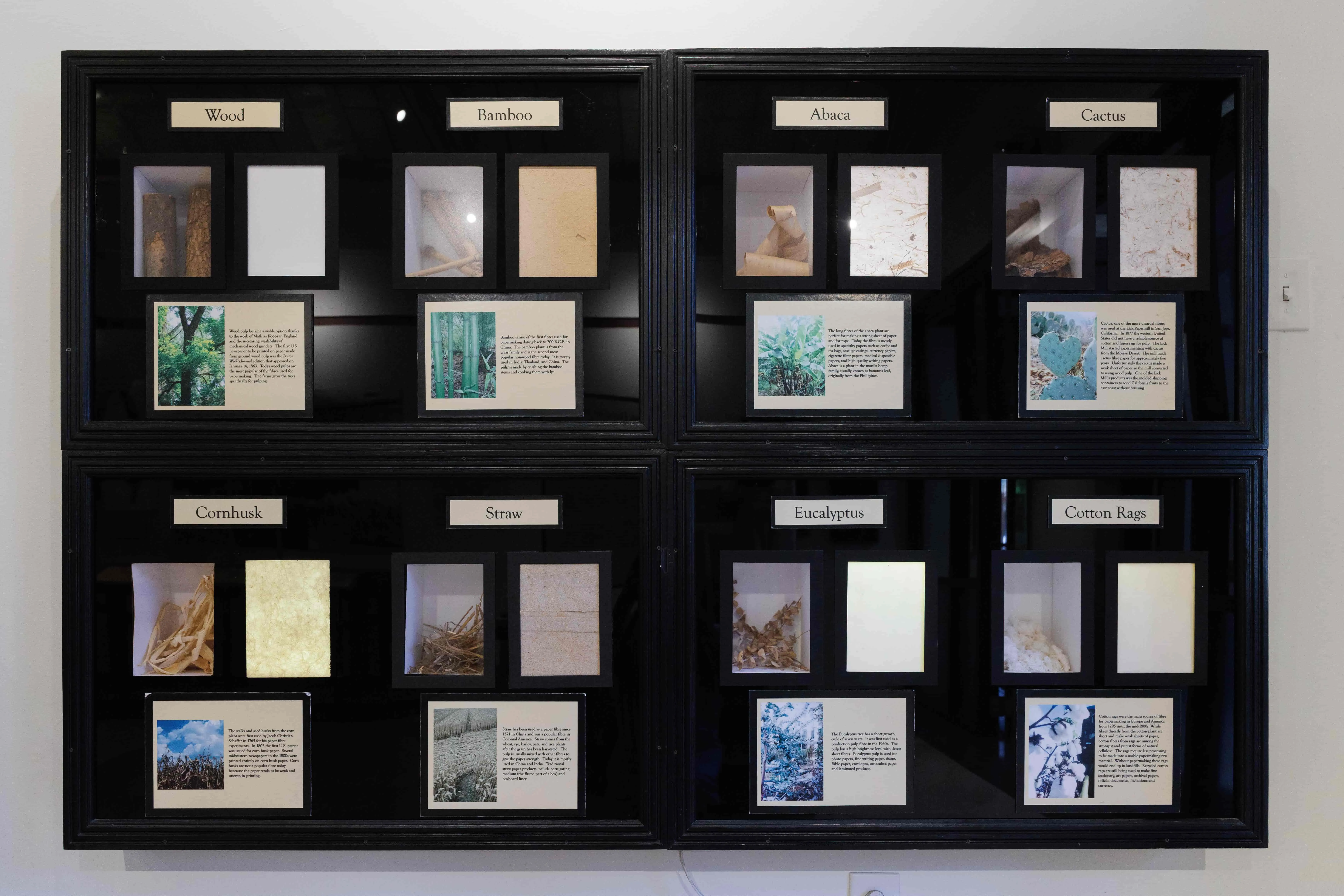 A four by two display of paper next to the fiber it's made from, along with a short description of each plant. Each fiber and paper is backlit to highlight details.
